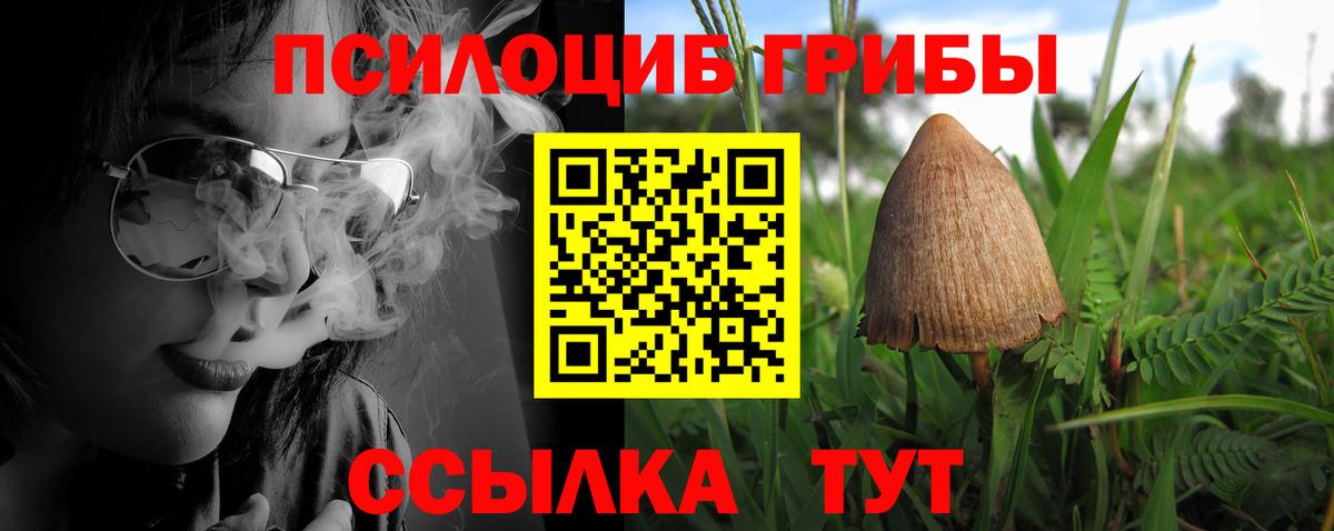 Галлюциногенные грибы ЛСД Углич